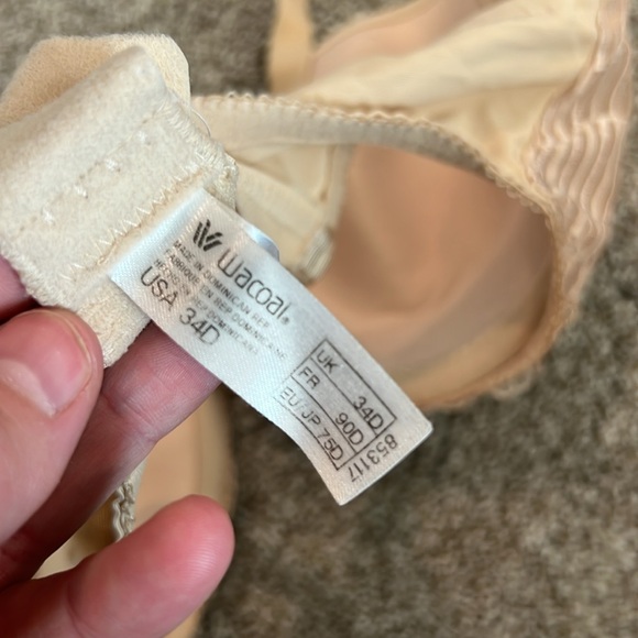 ‼️MAJOR SALE ‼️ Wacoal Bra - Picture 5 of 5